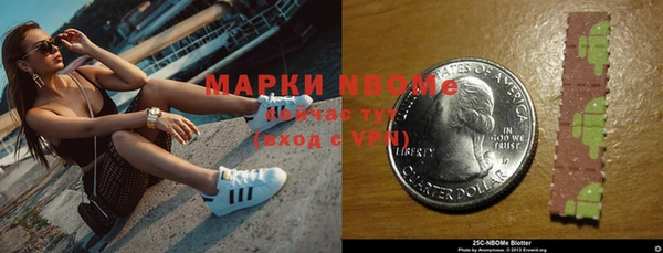 прущие грибы Елизово